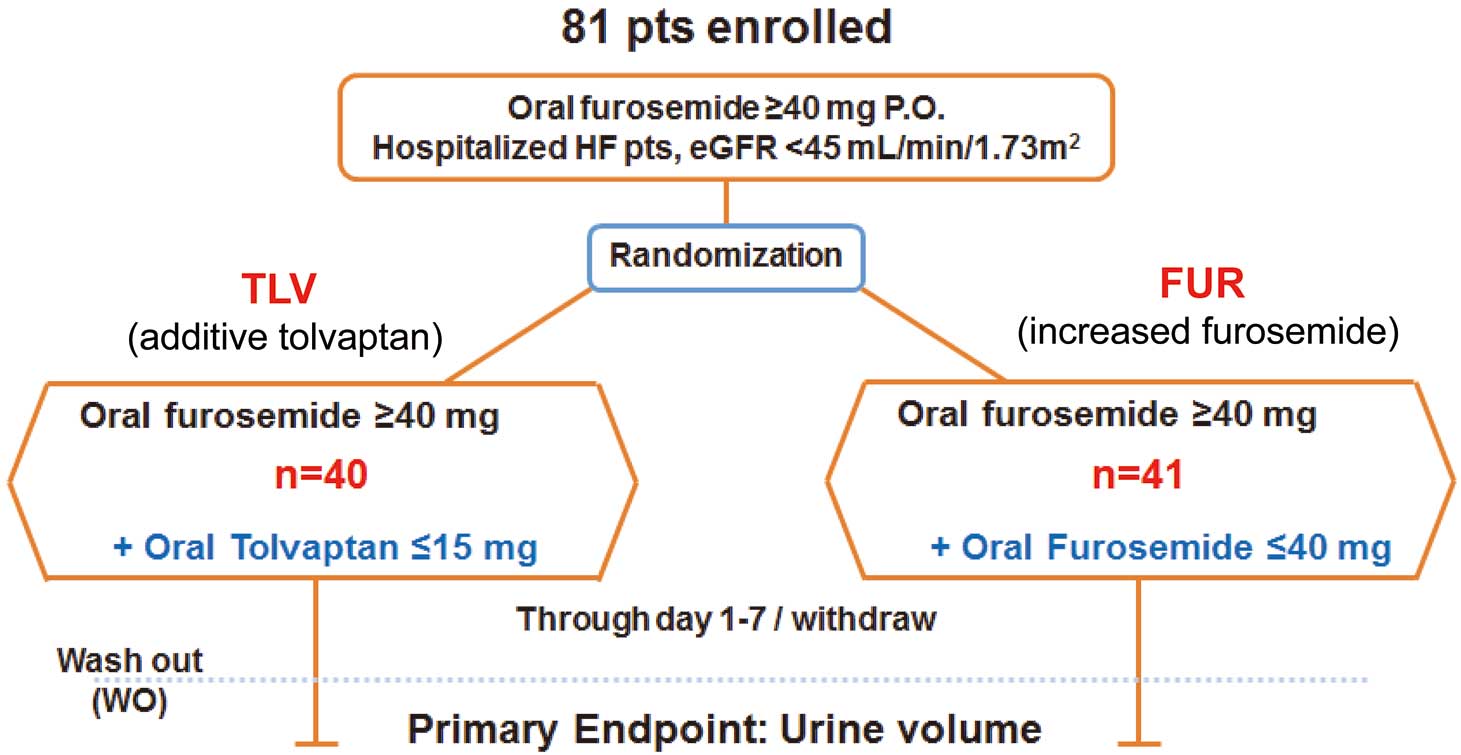 Effects of Additive Tolvaptan vs. Increased Furosemide on Heart Failure
