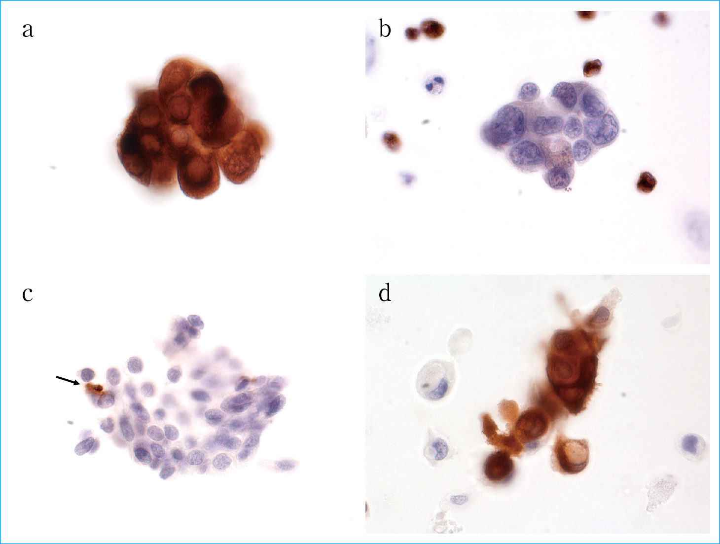 長期的な見通し